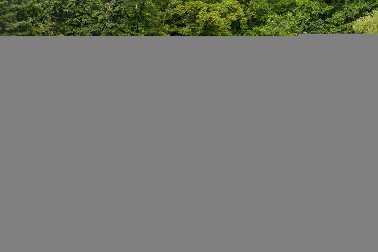 Тур в Санкт-Петербург на 5 дней — Эрмитаж, Петергоф, Царское Село