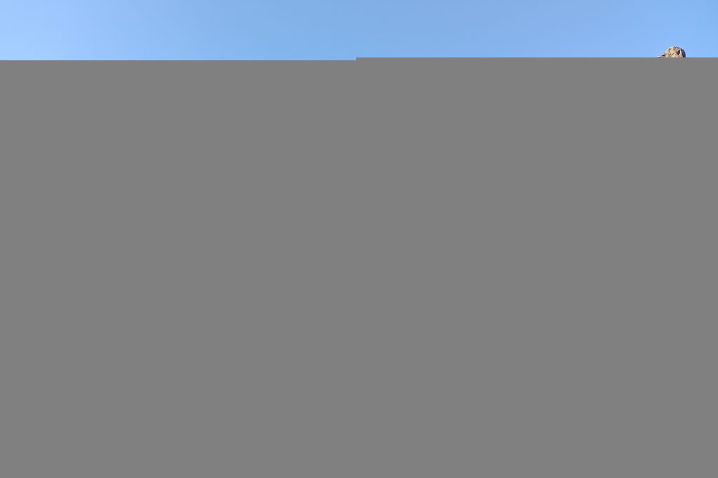 Волгоград, Астрахань, Элиста — тур по степям Поволжья, 7 дней
