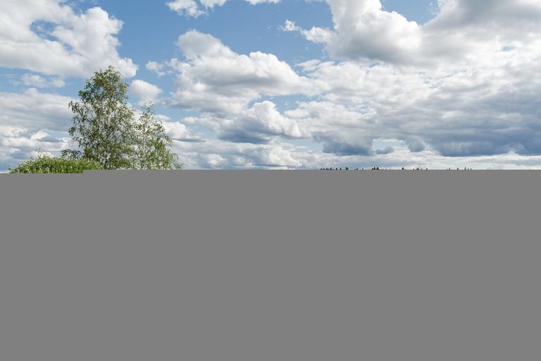 В краю звенящих колокольчиков (Кремлевский комплекс, музей деревянного зодчества Витославлицы, Валдай
