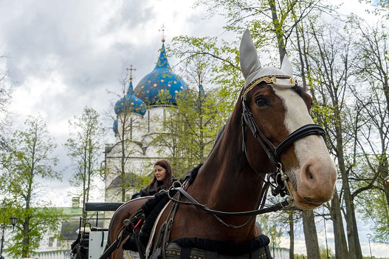 Гастрономический тур по Золотому кольцу из Москвы, 3 дня