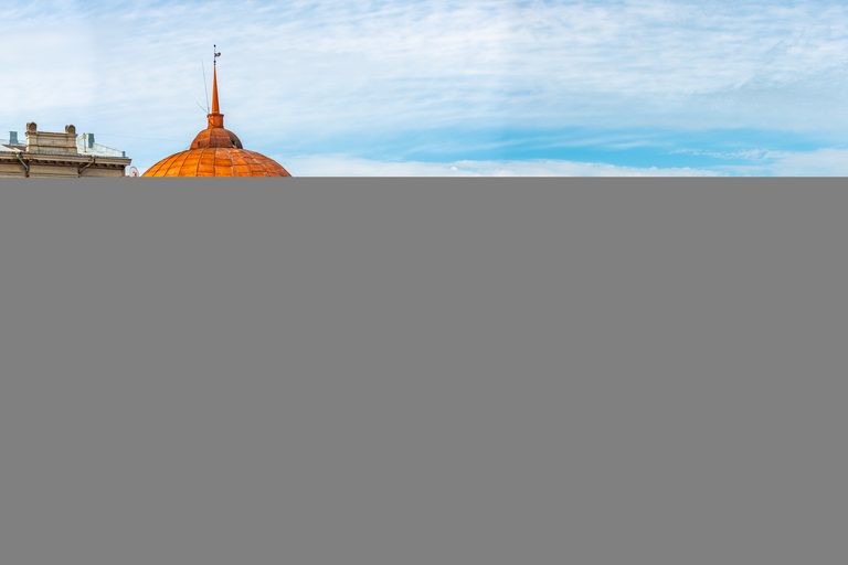 Лето на Финском заливе в Ленинградской области