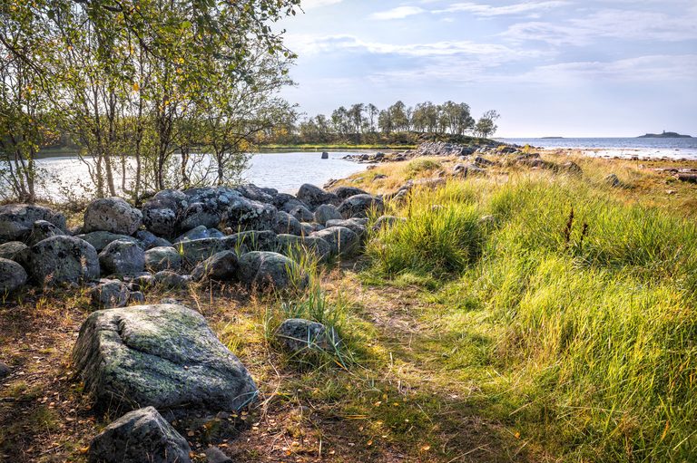 Экспедиция на Белое море к Соловецким островам (морские экскурсии к китам