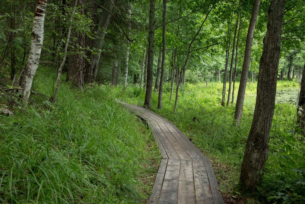 Сокровища Нижегородского края — тур на 4 дня