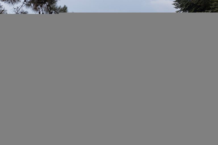 Электра гостевой дом, Геленджикский район, Кабардинка (Автобусный тур, турпакет: проезд + проживание, 12 дней)