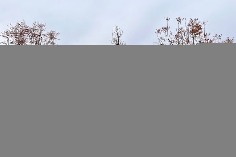 Добро пожаловать в Краснодар!
