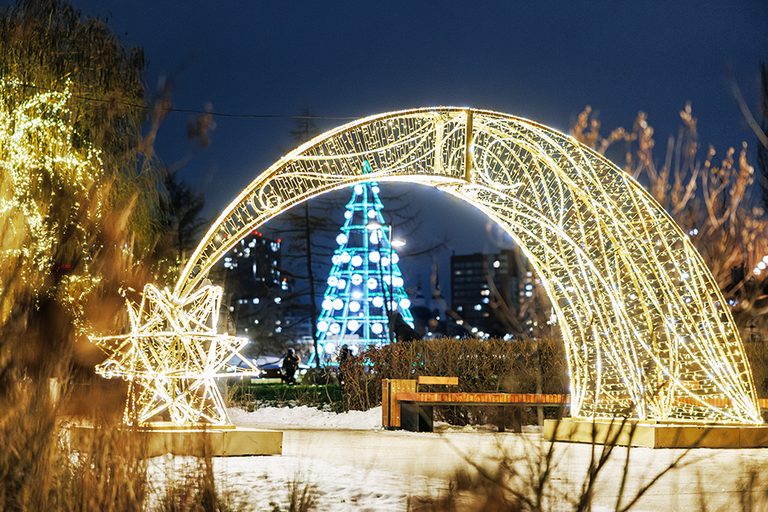 Новогоднее чудо в сказочной Рязани (сладкая Коломна – дивно украшенная Рязань