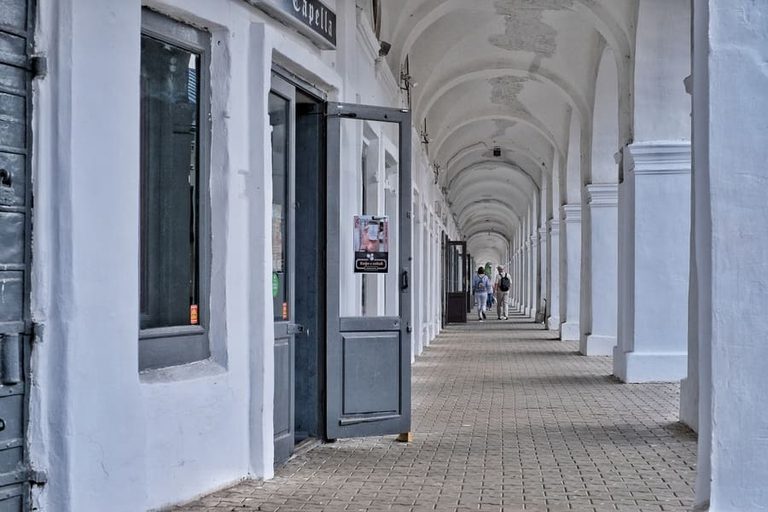 Новогодние чудеса в Костроме (Сумароковский лосиный заказник, интерактивные экскурсии с мастер-классом в Резиденции и в Тереме Снегурочки, музея сыра, 4 дня + ж/д)