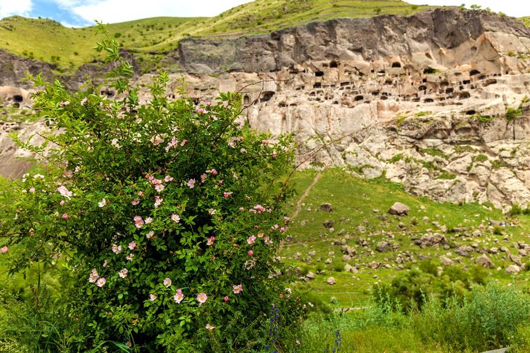 Тур в Грузию: Тбилиси, Боржоми, Вардзиа, Казбеги — 8 дней