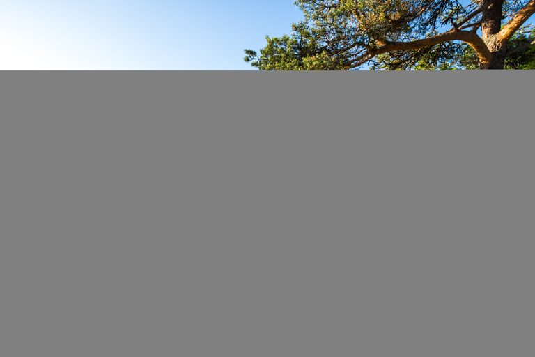 Тур в Сортавалу из Москвы — Валаам, Рускеала, Кижи, 5 дней