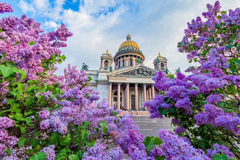 Тур в Санкт-Петербург на 5 дней — Петергоф, Царское Село