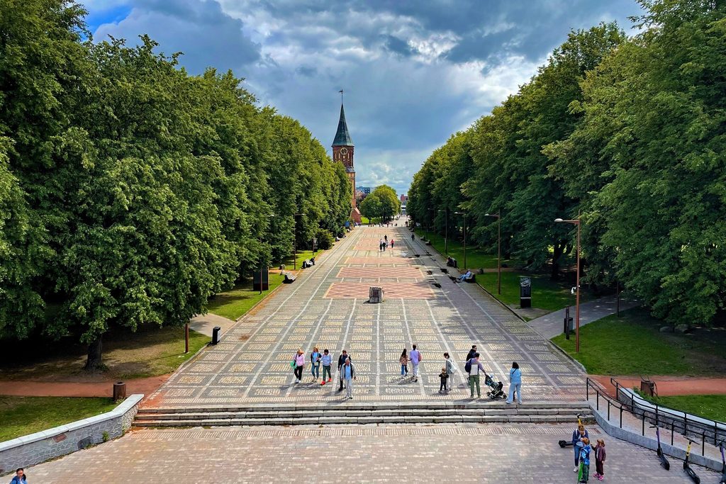 Тур в Калининград из Москвы — Куршская коса, Зеленоградск, 4 дня