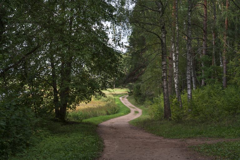 Псков и нетронутая природа Талабских островов (остров Залита — усадьбы и парки в Пушкинских горах — Изборск