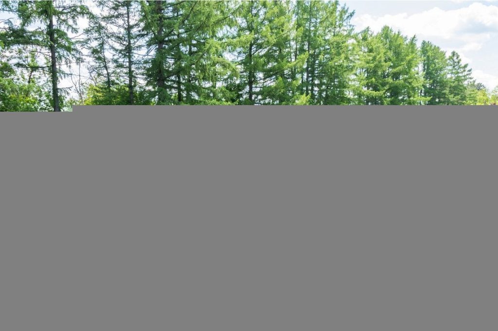 Фестиваль сирени в Богородицке, Елец и Кондуки — 2 дня