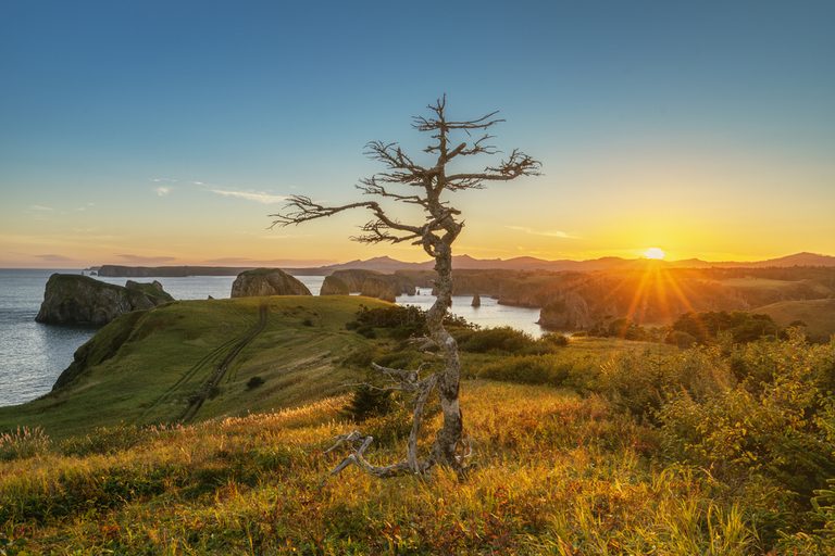 Тур на Кунашир и Шикотан — Курилы за 8 дней